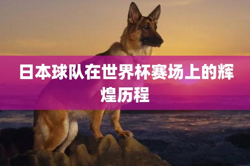 日本球队在世界杯赛场上的辉煌历程广西贺州市华昌新材料有限公司