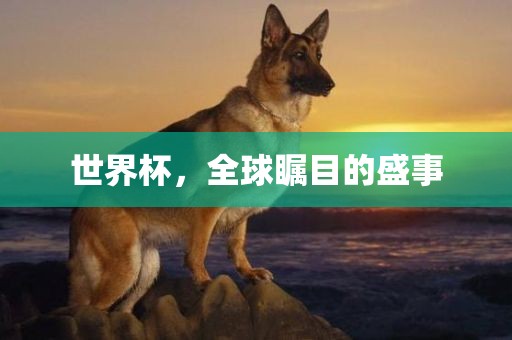 世界杯，全球瞩目的盛事广西贺州市华昌新材料有限公司