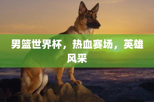 男篮世界杯，热血赛场，英雄风采