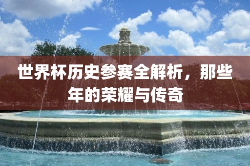 世界杯历史参赛全解析，那些年的荣耀与传奇广西贺州市华昌新材料有限公司