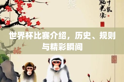 世界杯比赛介绍，历史、规则与精彩瞬间广西贺州市华昌新材料有限公司