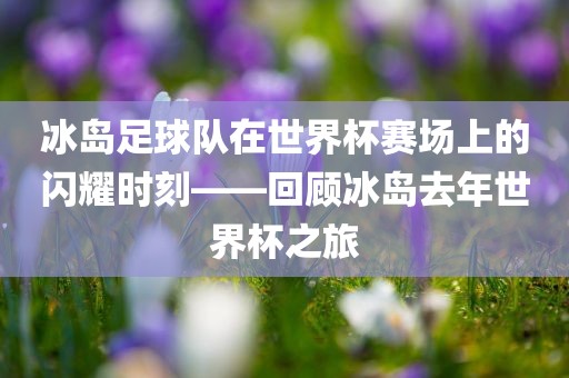 冰岛足球队在世界杯赛场上的闪耀时刻——回顾冰岛去年世界杯之旅广西贺州市华昌新材料有限公司