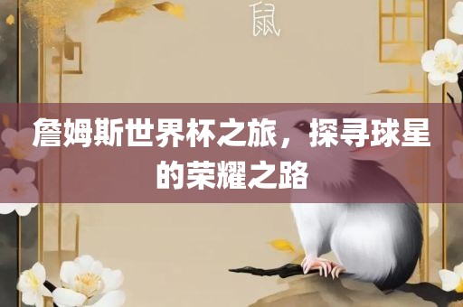 詹姆斯世界杯之旅，探寻球星的荣耀之路广西贺州市华昌新材料有限公司