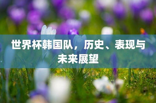 世界杯韩国队，历史、表现与未来展望