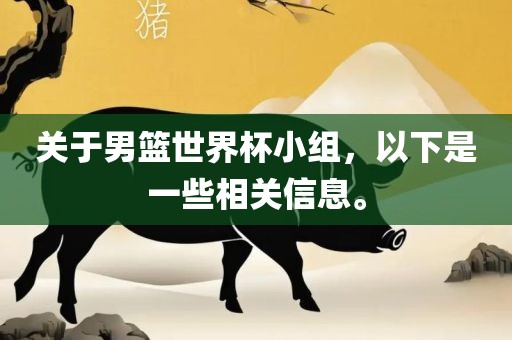关于男篮世界杯小组，以下是一些相关信息。广西贺州市华昌新材料有限公司