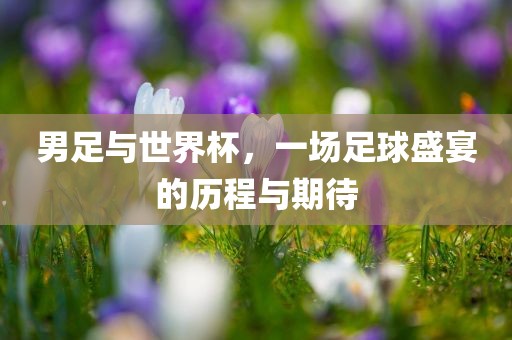 男足与世界杯，一场足球盛宴的历程与期待广西贺州市华昌新材料有限公司