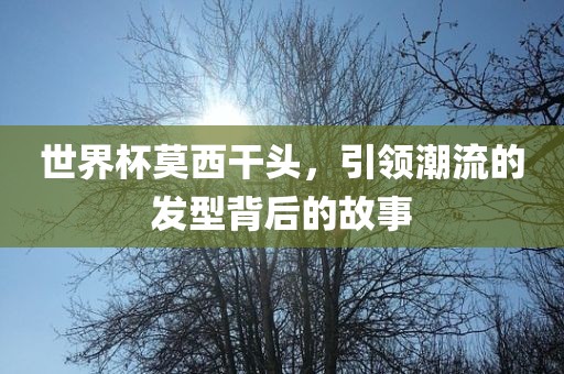 世界杯莫西干头，引领潮流的发型背广西贺州市华昌新材料有限公司后的故事