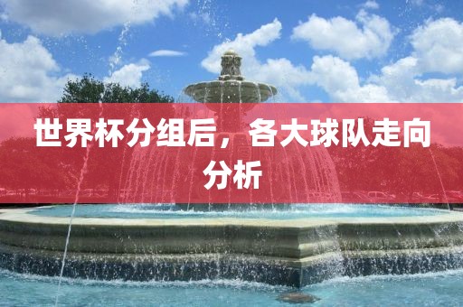 世界杯分组后，各大球队走向分析广西贺州市华昌新材料有限公司