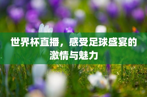 世界杯直播，感受足球盛宴的激情与魅力广西贺州市华昌新材料有限公司