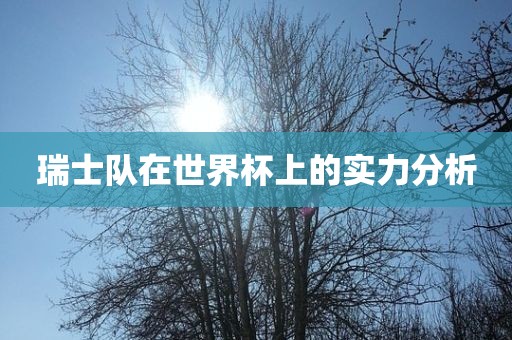 瑞士队在世界杯上的实力分析