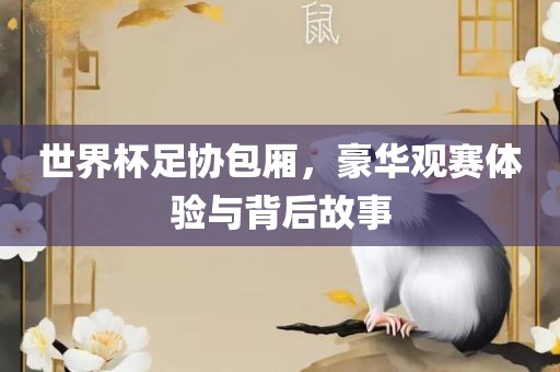 世界杯足协包厢，豪华观赛体验与背后故事广西贺州市华昌新材料有限公司