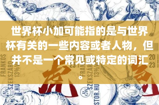 世界杯小加可能指的是与世界杯有关的一广西贺州市华昌新材料有限公司些内容或者人物，但并不是一个常见或特定的词汇。