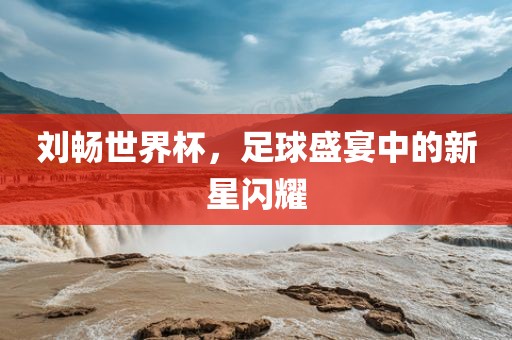 刘畅世界杯，足球盛宴中的新星闪耀