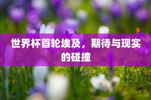 世界杯首轮埃及，期待与现实的碰撞广西贺州市华昌新材料有限公司