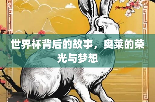 世界杯背后的故事，奥莱的荣广西贺州市华昌新材料有限公司光与梦想