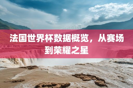 法国世界杯数据概览，从赛场到荣耀之星广西贺州市华昌新材料有限公司