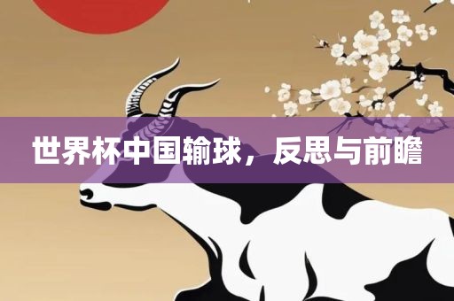 世界杯中国输球，反思与前瞻
