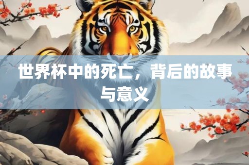 世界杯中的死亡，背后的故事与意义