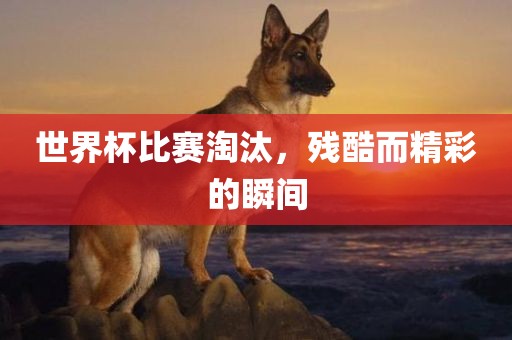 世界杯比赛淘汰，残广西贺州市华昌新材料有限公司酷而精彩的瞬间