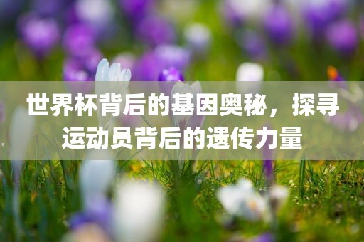 世界杯背后的基因奥秘，探寻运动员背后的遗传力量广西贺州市华昌新材料有限公司