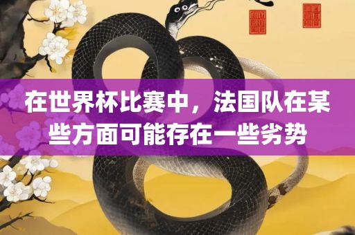 在世界杯比赛中，法国队在某些方面可能存在一些劣势广西贺州市华昌新材料有限公司