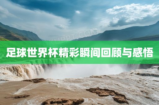 chenweixia 第2页