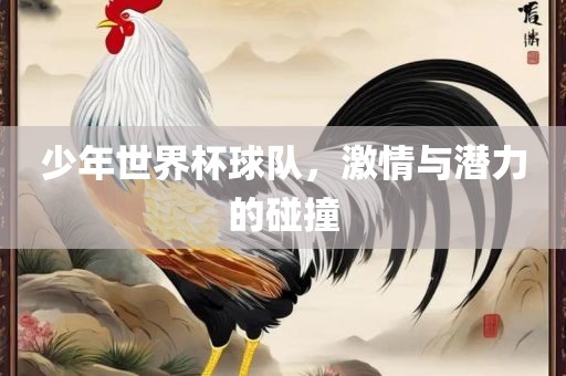 少年世界杯球队，激情与潜力的碰撞广西贺州市华昌新材料有限公司