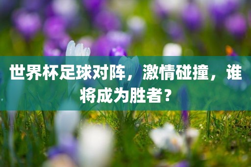 世界杯足球对阵，激情碰撞，谁将成为胜者？