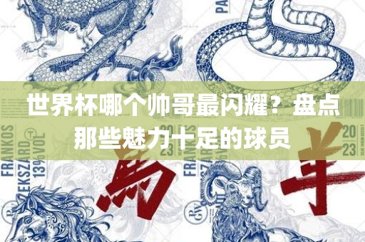 世界杯哪个帅哥最闪耀？盘点那些魅力十足的球员