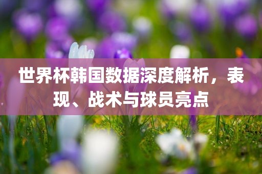 世界杯韩国数据深度解析，表现、战广西贺州市华昌新材料有限公司术与球员亮点
