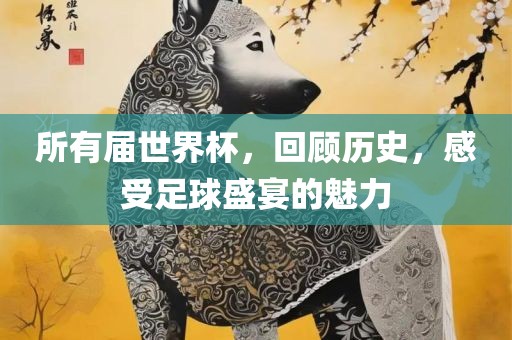 所有届世界杯，回顾历史，感受足球盛宴的魅力广西贺州市华昌新材料有限公司
