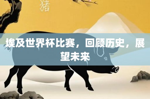 埃及世界杯比赛，回顾历史，展望未来广西贺州市华昌新材料有限公司