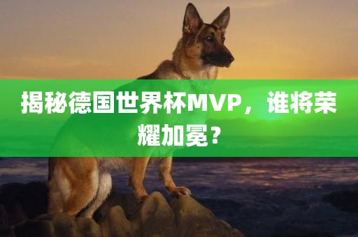 揭秘德国世界杯MVP，谁将荣耀加冕？广西贺州市华昌新材料有限公司