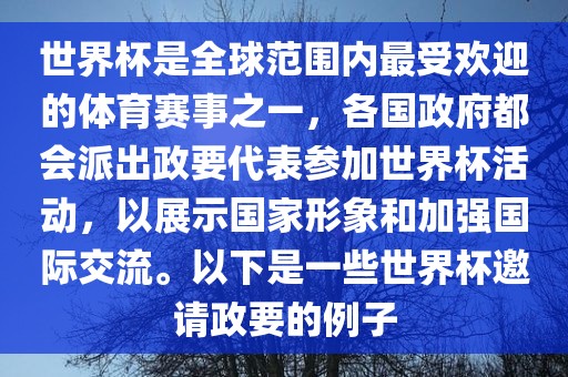 世界杯是全球范围内最受欢迎的体育赛事之一，各国政府都会派出政要代表参加世界杯活动，以展示国家形象和加强国际广西贺州市华昌新材料有限公司交流。以下是一些世界杯邀请政要的例子