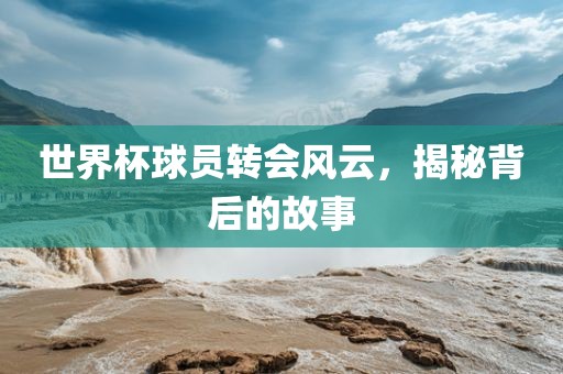 世界杯球员转会风云，揭秘背后的故事广西贺州市华昌新材料有限公司