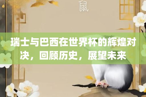 瑞士与巴西在世界杯的辉煌对决，回顾历史，展望未来