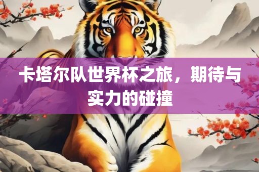 卡塔尔队世界杯之旅，期待与实力的碰撞广西贺州市华昌新材料有限公司