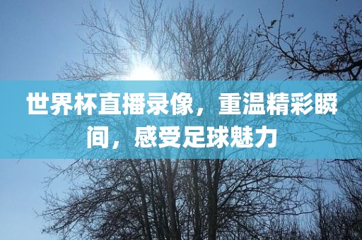 世界杯直播录像，重温精彩瞬间，感受足球魅力广西贺州市华昌新材料有限公司