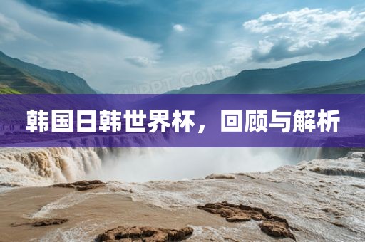 韩国日韩世界杯，回顾与解析