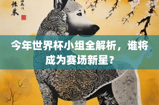 今年世界杯小组全解析，谁将成为赛场新星？