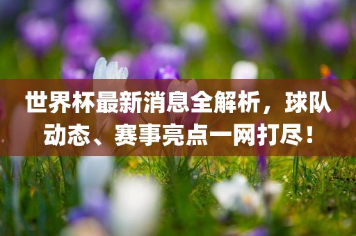 世界杯最新消息全解析，球队动态、赛事亮点一网打尽！广西贺州市华昌新材料有限公司