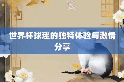 世界杯球迷的独特体验与激情分享广西贺州市华昌新材料有限公司