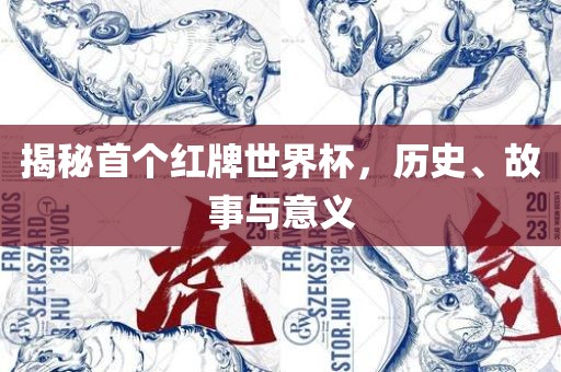 揭秘首个红牌世界杯，历史、故事与意义广西贺州市华昌新材料有限公司