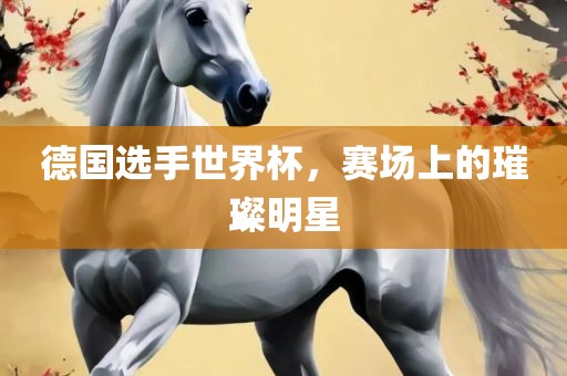 德国选手世界杯，赛场上的璀璨明星