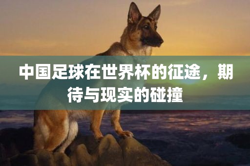 中国足球在广西贺州市华昌新材料有限公司世界杯的征途，期待与现实的碰撞