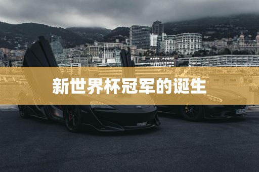 新世界杯冠军的诞生广西贺州市华昌新材料有限公司