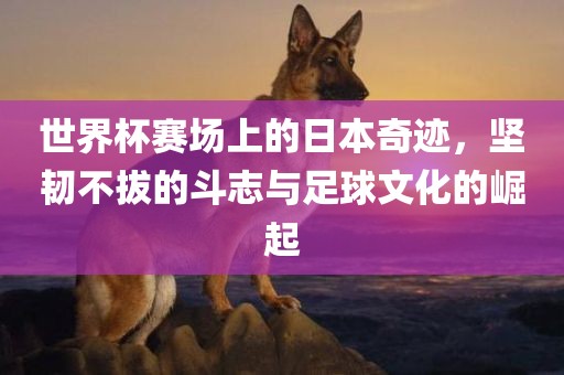 世界杯赛场上的日本奇迹，坚韧不拔的斗志与足球文化的崛起广西贺州市华昌新材料有限公司