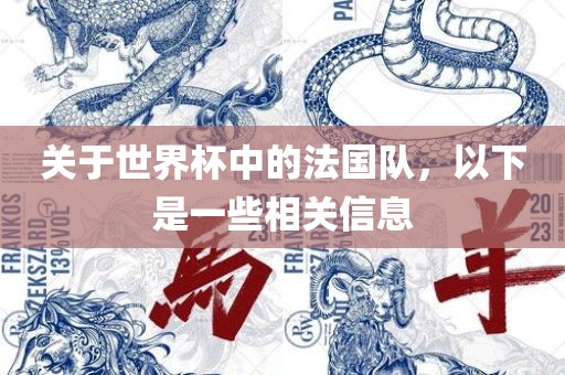 关于世界广西贺州市华昌新材料有限公司杯中的法国队，以下是一些相关信息