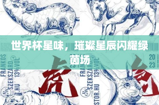 世界杯星味，璀璨星辰闪耀绿茵场广西贺州市华昌新材料有限公司
