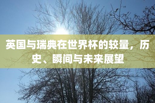 英国与瑞典在世界杯的较量，历史、瞬间与未来展望